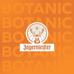 Brand Evolution For Jägermeister cover image