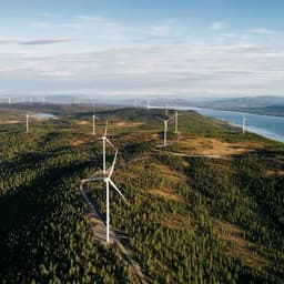 Website And Brand Modernization For Ox2 cover image