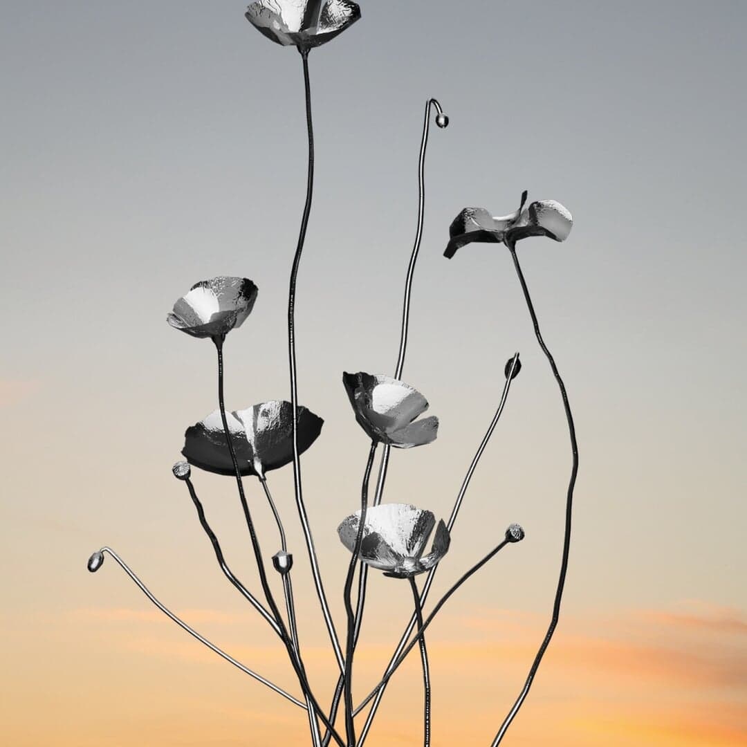 Brand Identity For Mother Science Skincare