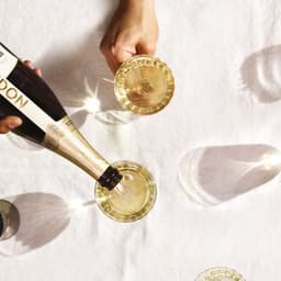 Packaging And Visual Identity For Meurisse Chocolate cover image