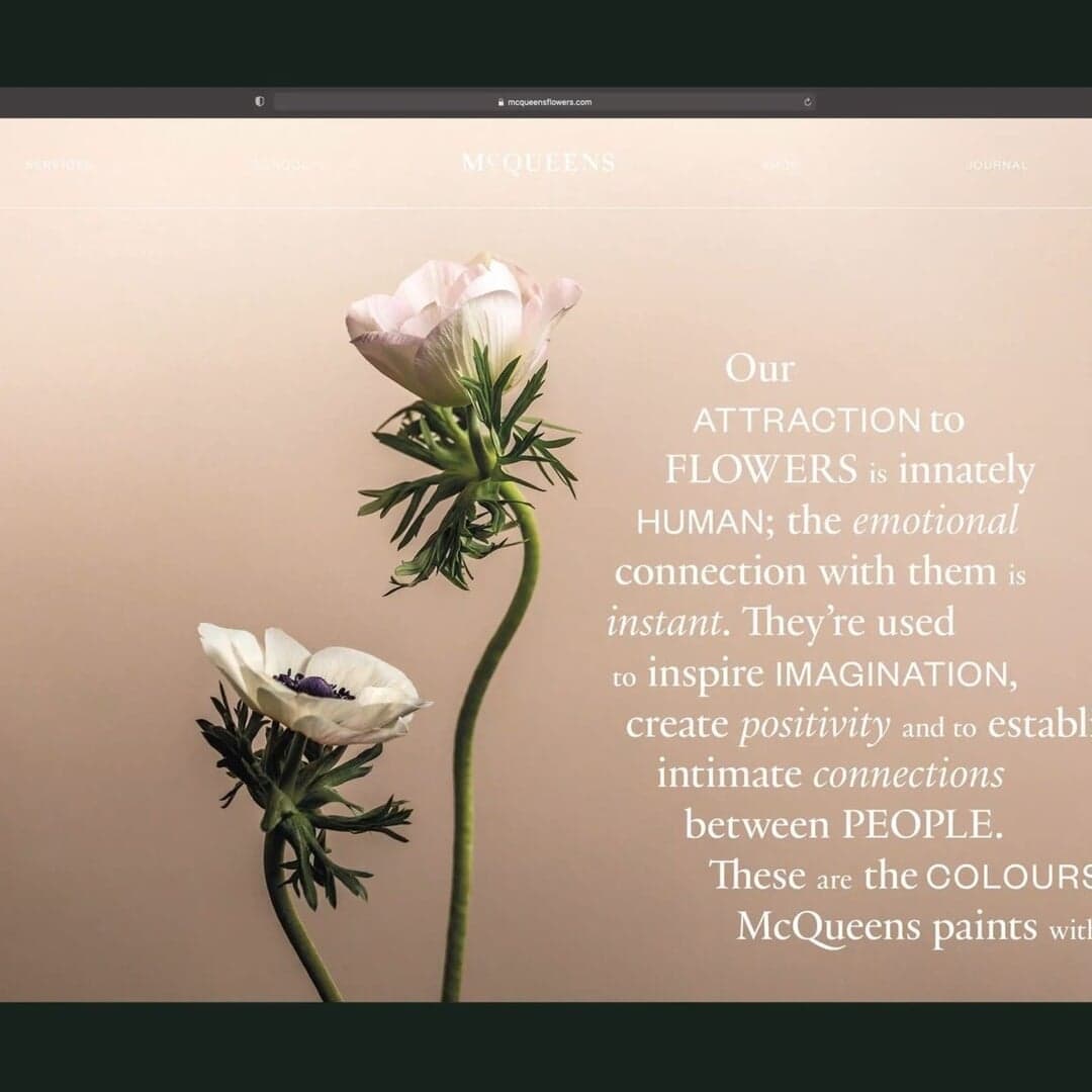 Brand Identity And Digital Platform For Mcqueens Flowers