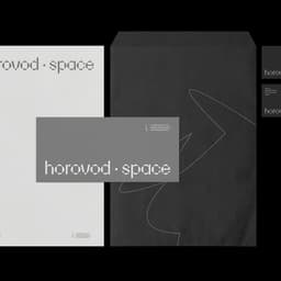 Visual Identity For Horovod.space cover image