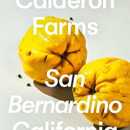 Rebrand And Design System For Pressed cover image