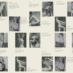 Album Packaging And Art Direction For Leon Michels's Adult Themes cover image