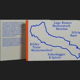 Visual Identity For Silvia Buol cover image