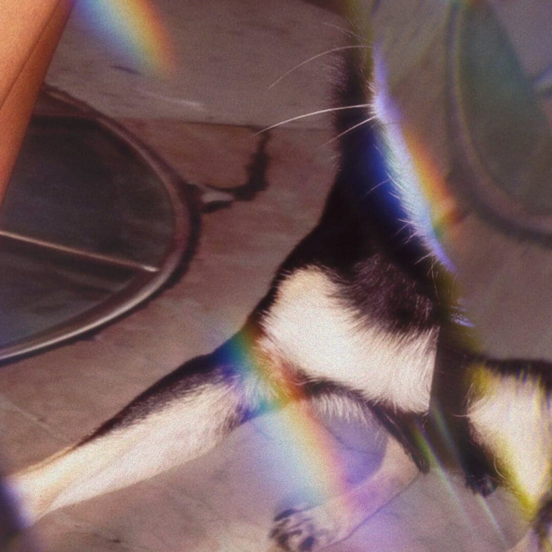 Digital Transformation For Mcdonald's