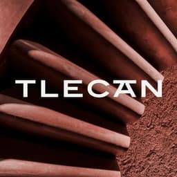 Web Design And Art Direction For Tlecan Mezcaleria cover image