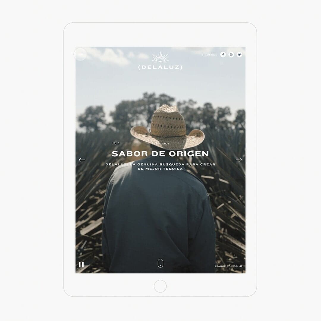 Branding And Digital Identity For Tequila Delaluz