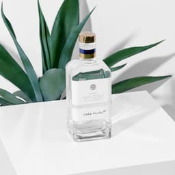 Brand Identity And Packaging For Tequila Casa Pujol 87 cover image