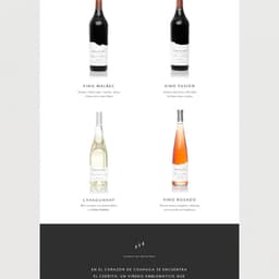 Brand Identity And Website Design For Bodega Los Cedros cover image