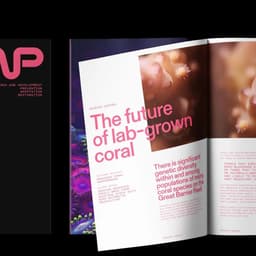 Brand Identity For Reef Restoration And Adaptation Program cover image