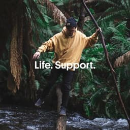 Brand Identity For The Wilderness Society cover image