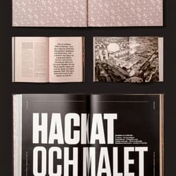 Editorial Design For Stockholm’s Meatpacking District Book cover image