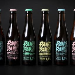 Packaging Design For Pangpang Brewery Summer Beer Series cover image