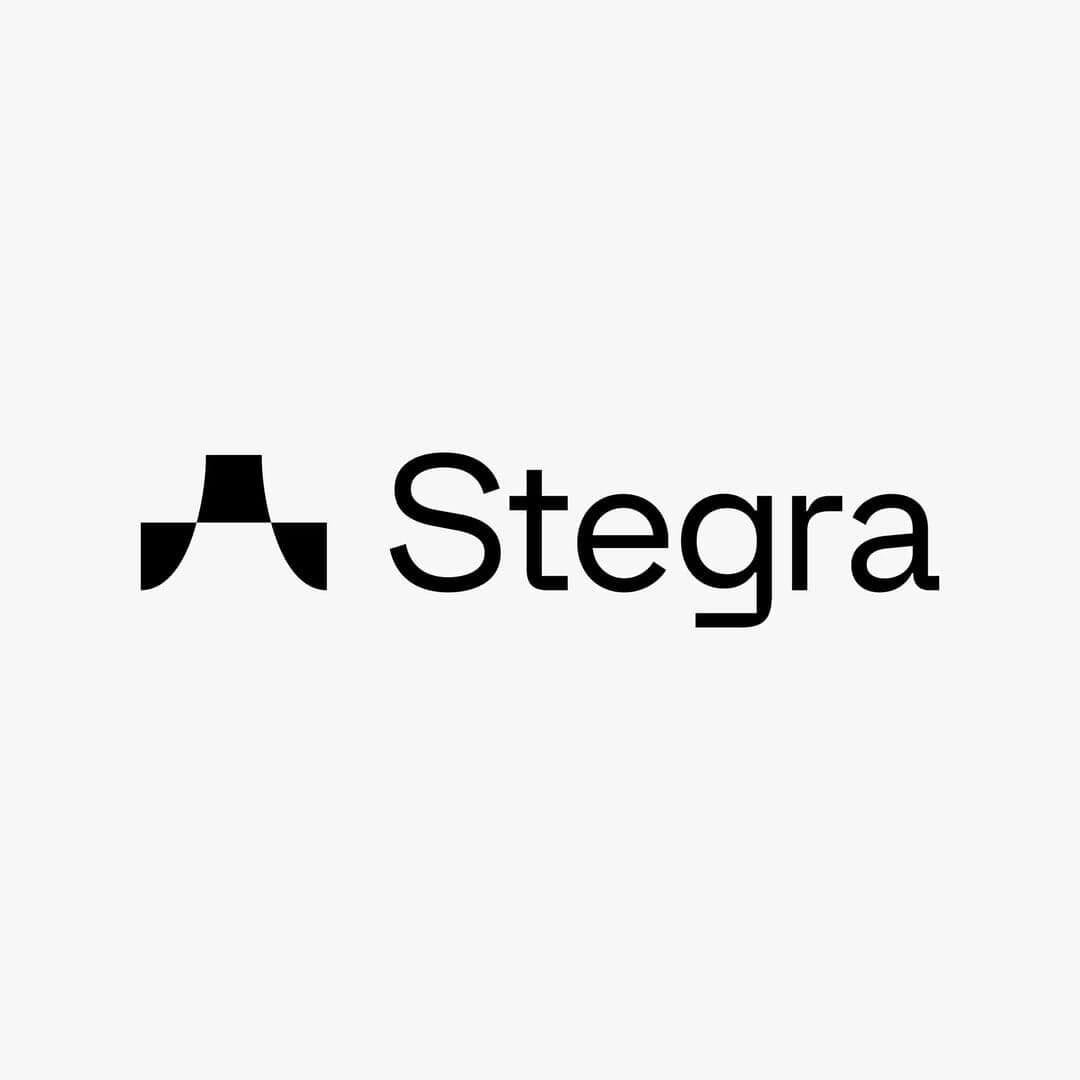 Naming And Brand Identity For Stegra