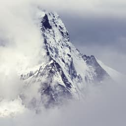 Brand Identity For Haglöfs cover image