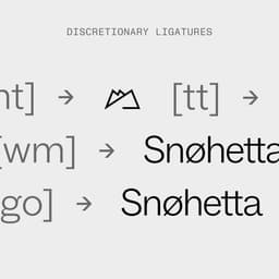 Customized Typeface And Wordmark For Snøhetta cover image