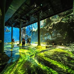 A/v Installation For Artechouse New York cover image