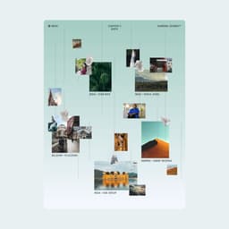 Visual Identity For Kolomenskoe Park cover image