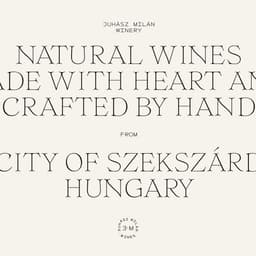 Brand Identity And Packaging For Juhasz Milan Wines cover image