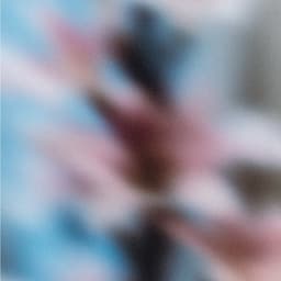 Brand Identity For Eco-conscious Candle Maker Melt My Mood cover image