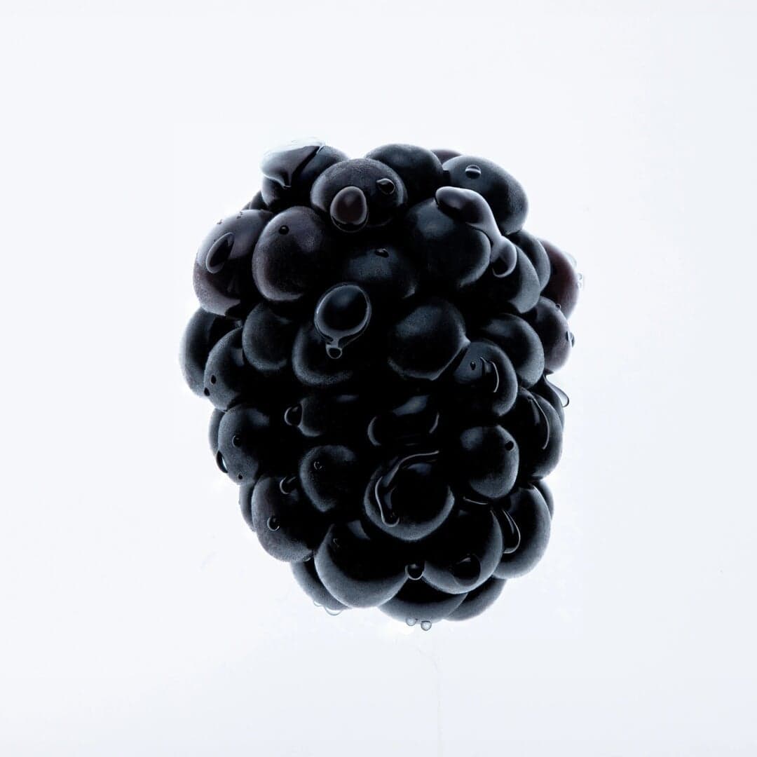 Augmented Reality Zine For Similar High Hopes