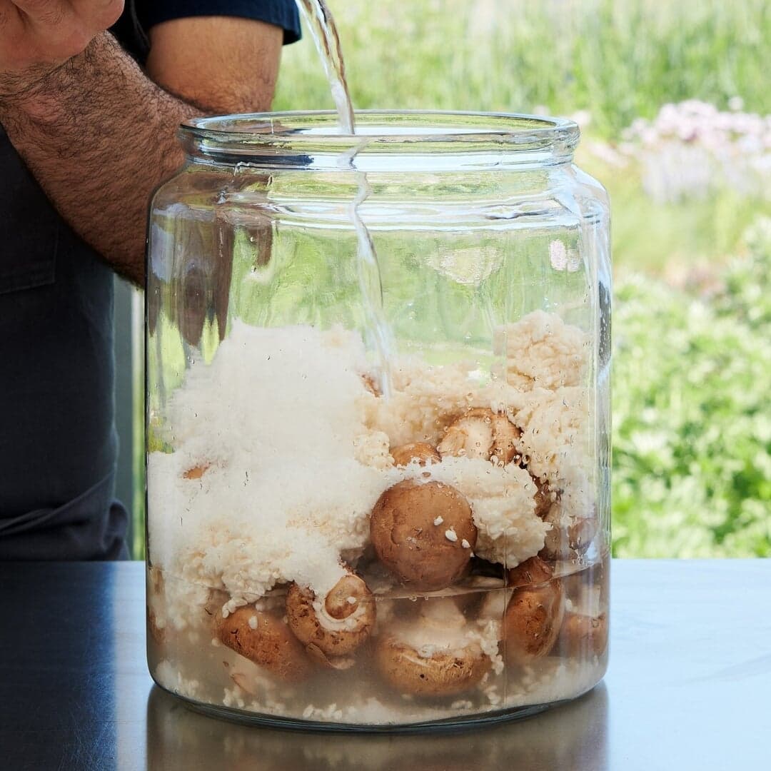 Brand Identity For Noma Projects