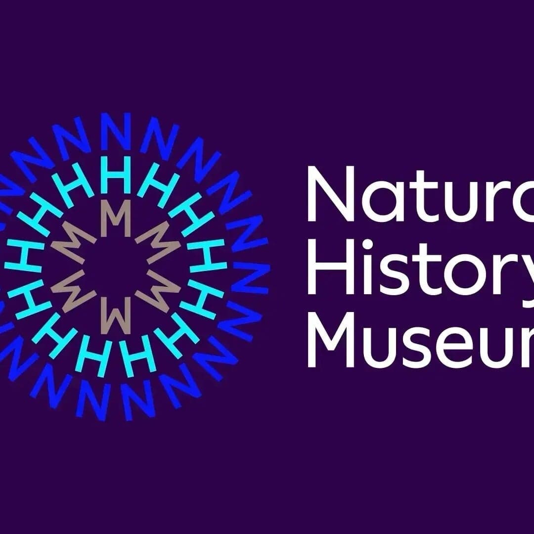 Brand Strategy For A Global Creative Festival