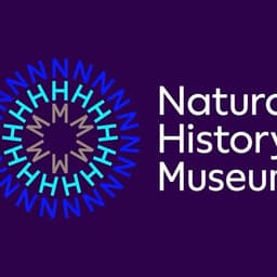 Brand Strategy For A Global Creative Festival cover image