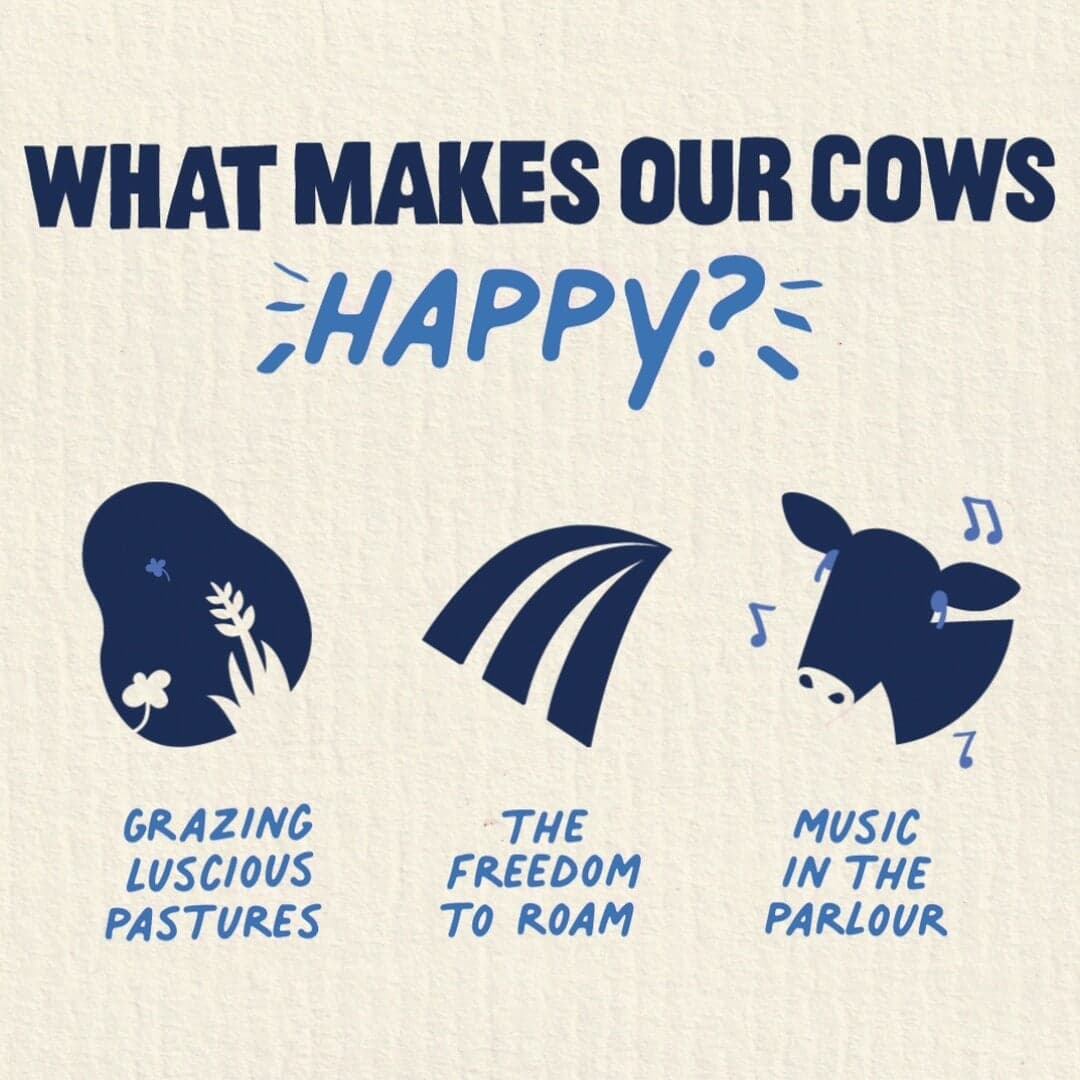 Brand Identity And Packaging For Tom Parker Creamery