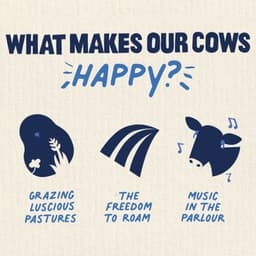 Brand Identity And Packaging For Tom Parker Creamery cover image