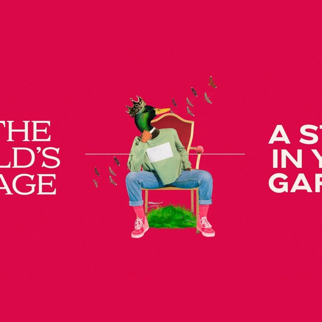 Naming And Brand Identity For West End Producer Elsy