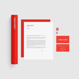 Brand Identity And Website Design For Storage Startup Caboodle cover image