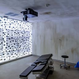 Virtual Exhibition Platform For Bid(s) For Survival cover image