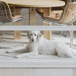 Interior Architecture For Imcollective Studio cover image