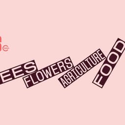 Brand Refresh For Iucn Save Our Species cover image