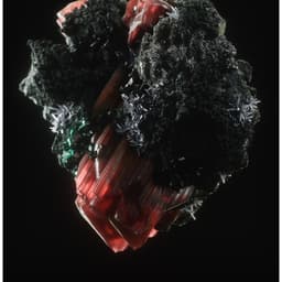 Title Sequence For Us By Night Festival cover image