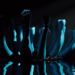 Design Case - Panoply design work cover image