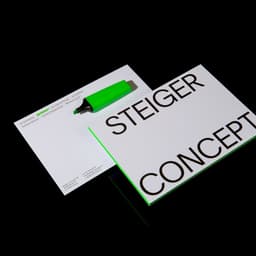 Digital Identity And Website Design For Steiger Concept cover image