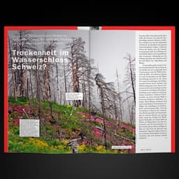 Editorial Design For Wsl's Diagonal Magazine cover image