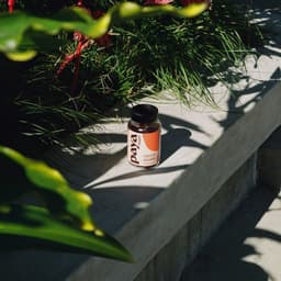 Visual Identity And E-commerce Website For Paya cover image