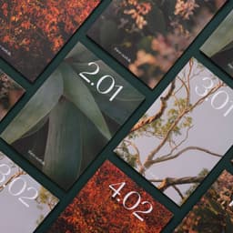 Naming And Brand Identity For Sustainable Packaging Company Re-forme cover image