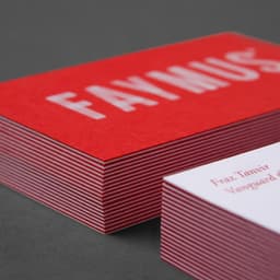 Brand Identity And Website Design For Faymus Property Developers cover image