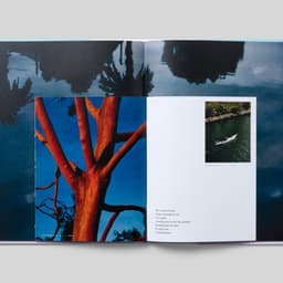 Brand Identity For Luminess Residences cover image