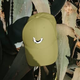 Brand Identity For Ethics & Antics Dog Walking cover image