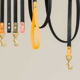 Brand Identity For Gula Dog Care cover image