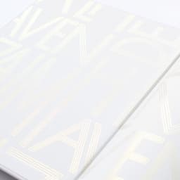 Brand Identity And Campaigns For De Zalmhaven Residential Towers cover image