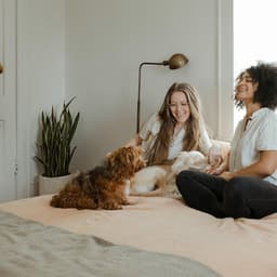 App Design And Branding For Around Pet cover image