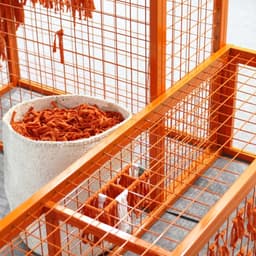 Concept And Visual Identity For New School Helsinki Exhibition cover image