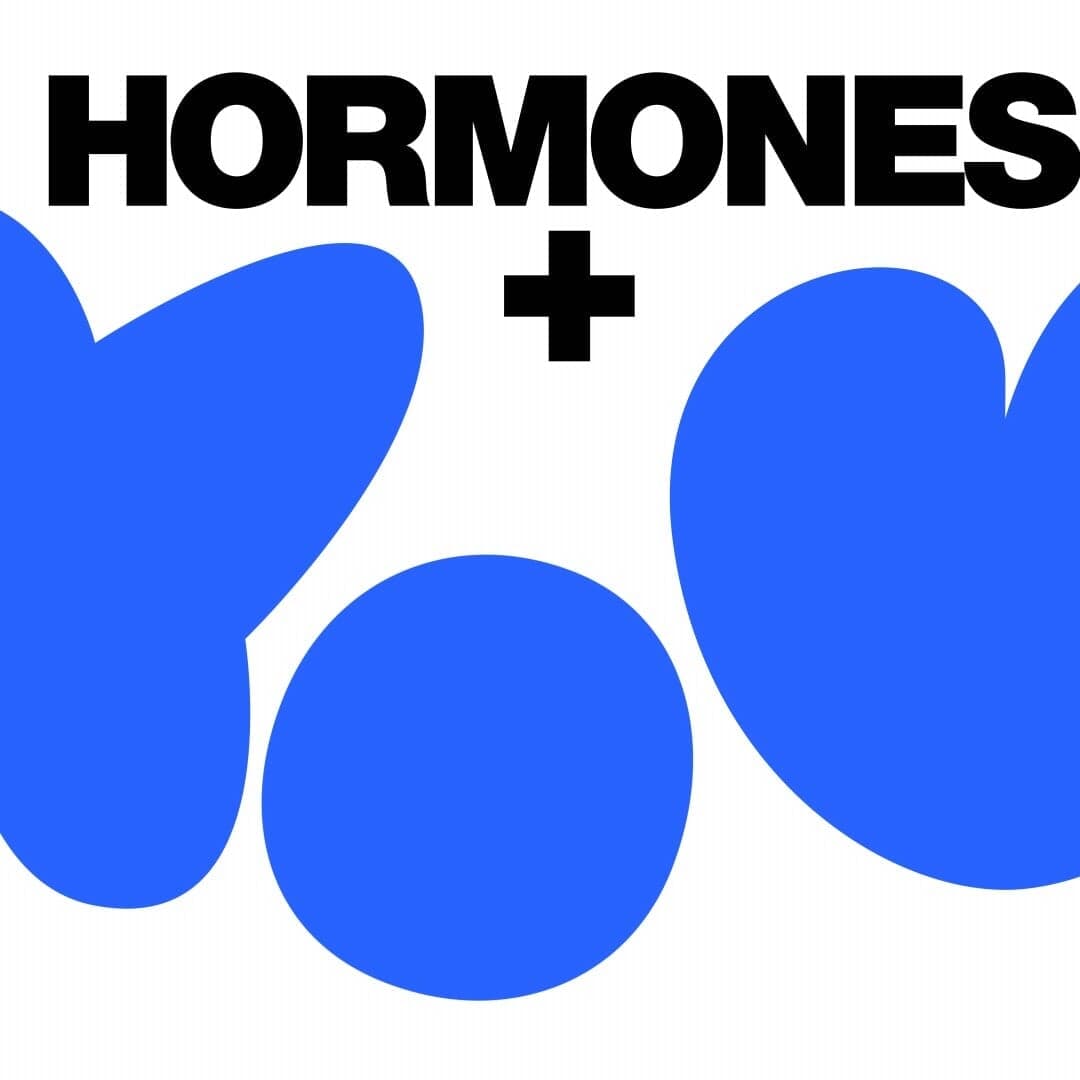 Digital Identity And Website Concept For Hormones+you
